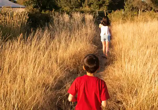 Homeschool Enrichment