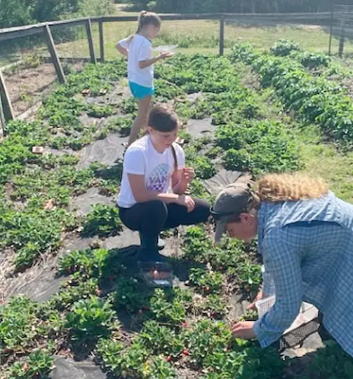 Farm and Forest School Beneficial