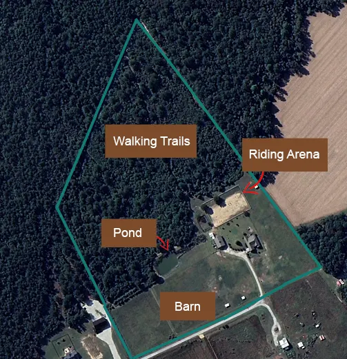 Our Farm and Forest Layout