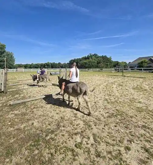 Skills & Activities at Lewis Meadows