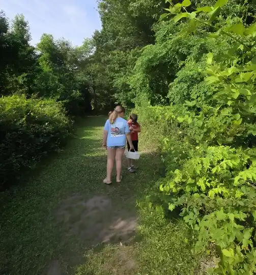 Trail Exploration & Nature Walks