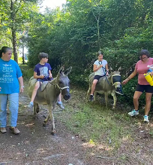 What Volunteers Will Do