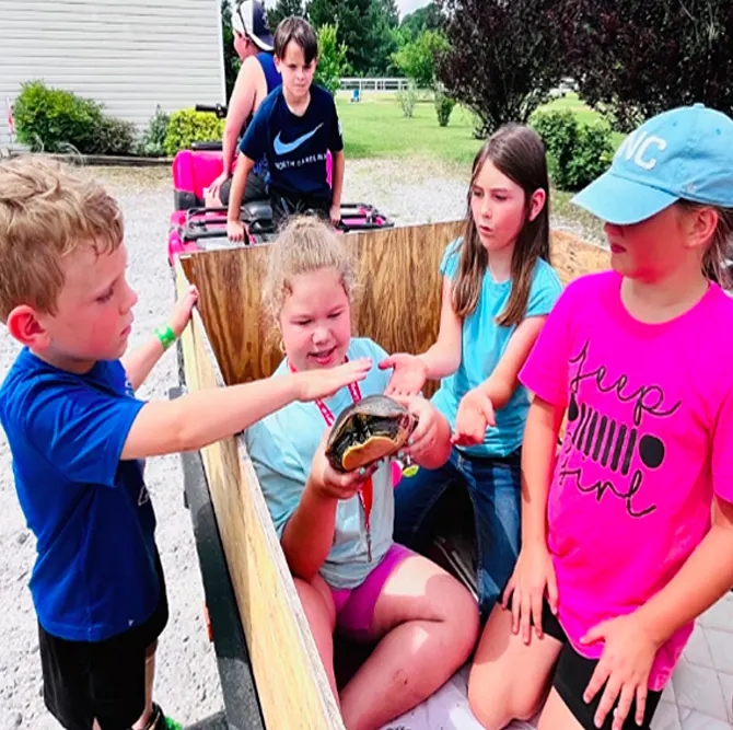 Why Farm & Forest School