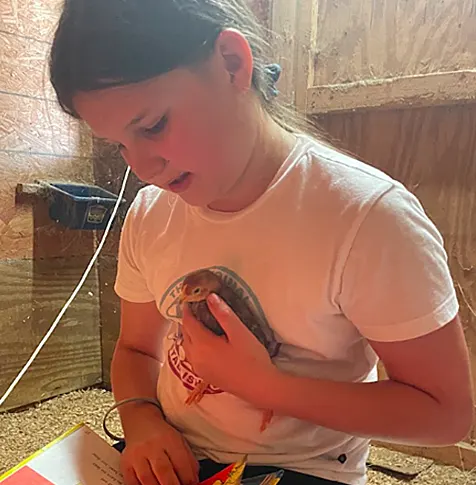 Lewis Meadows Photo Gallery 12