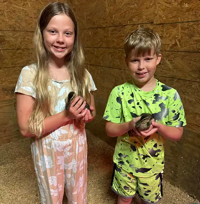 Lewis Meadows Photo Gallery 1