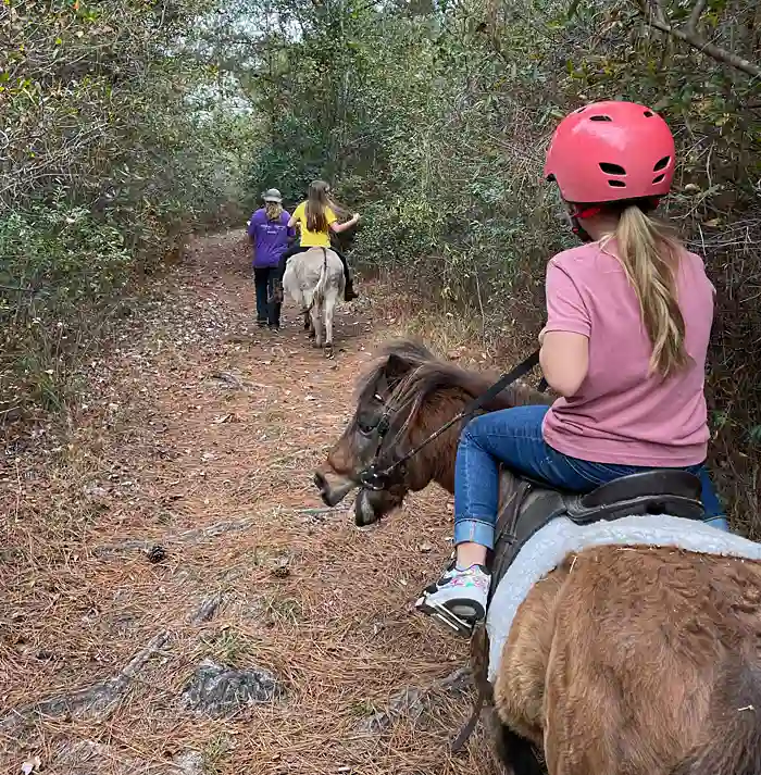 Lewis Meadows Photo Gallery 2