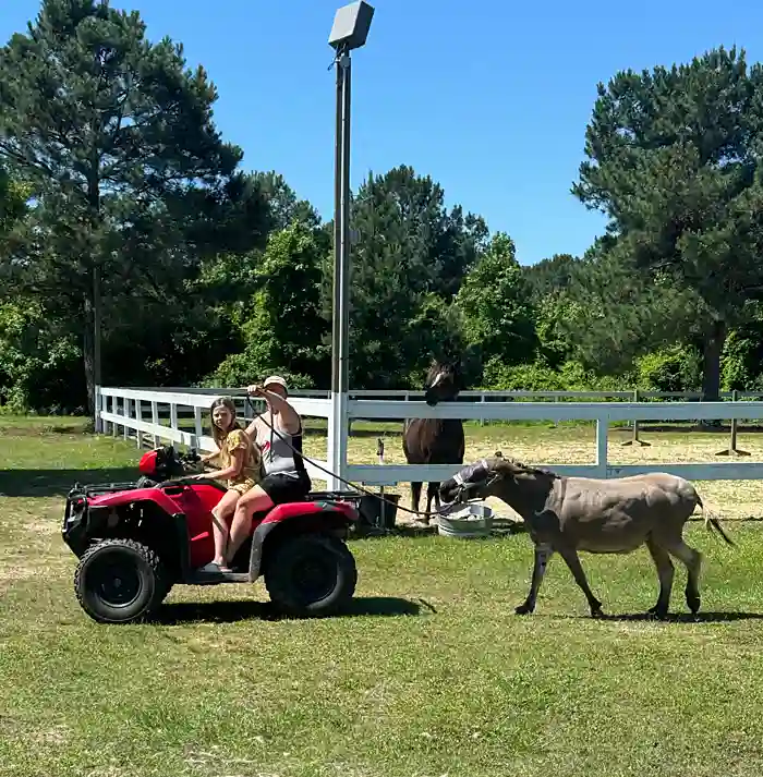 Lewis Meadows Photo Gallery 3