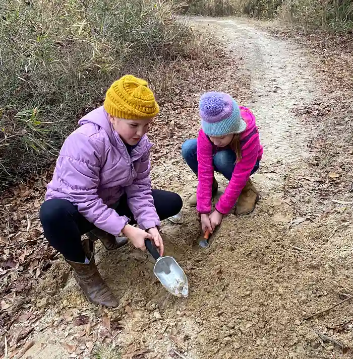 Lewis Meadows Photo Gallery 5