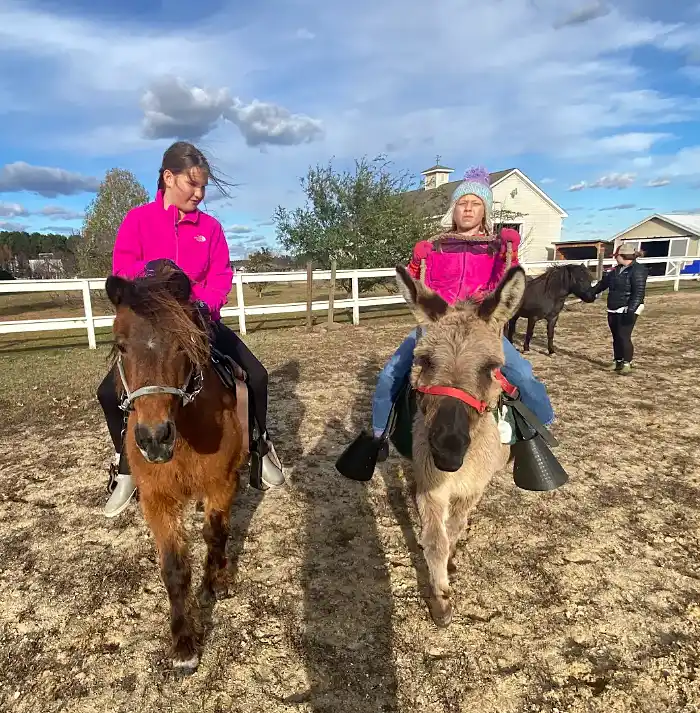 Lewis Meadows Photo Gallery 6