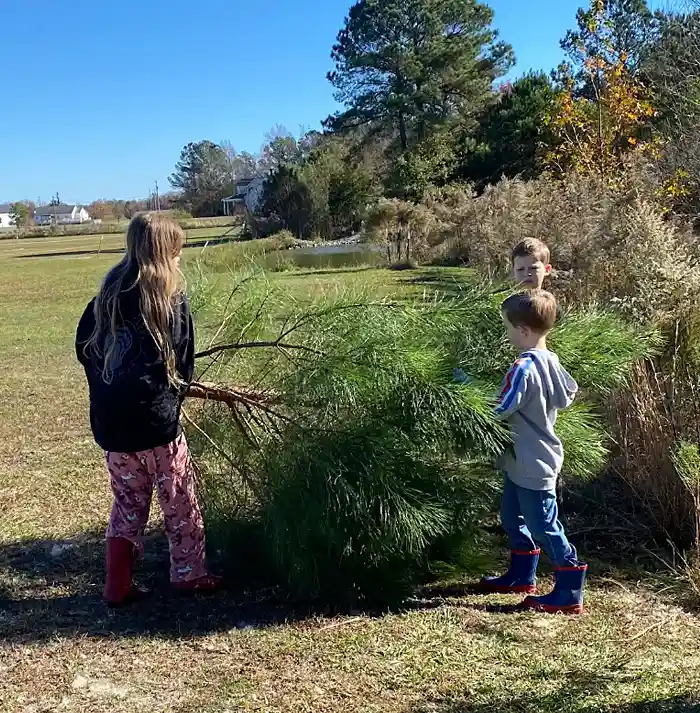 Lewis Meadows Photo Gallery 7