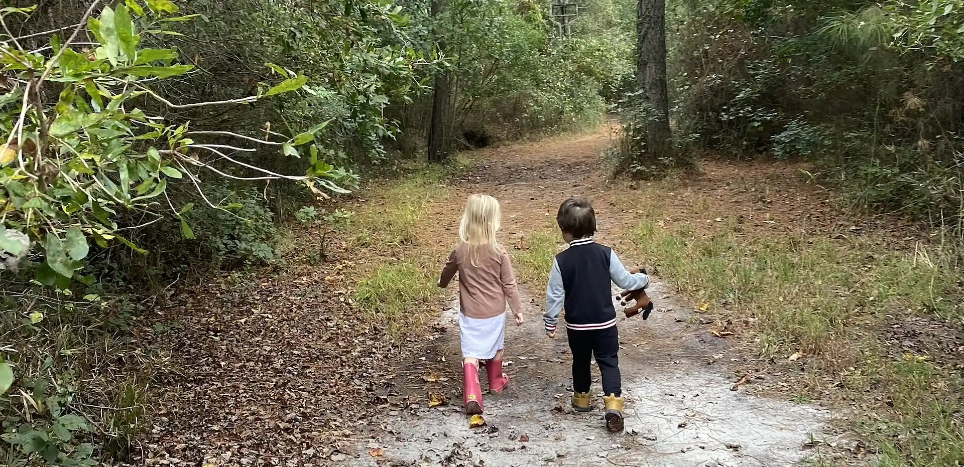 Lewis Meadows Farm & Forest School: Where Nature Nurtures Learning